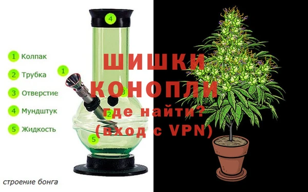 каннабис Богданович