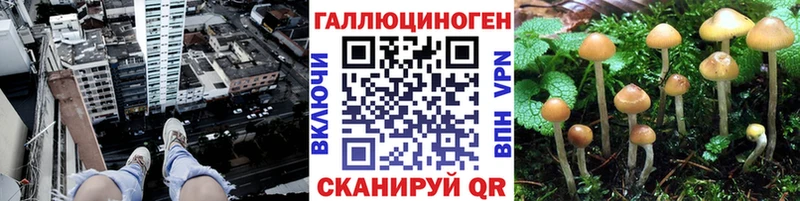 Псилоцибиновые грибы ЛСД  Щучье 
